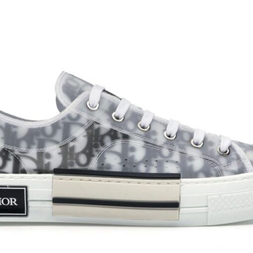 Dior Oblique B23 Gray